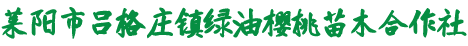 莱阳市吕格庄镇绿油樱桃苗木合作社